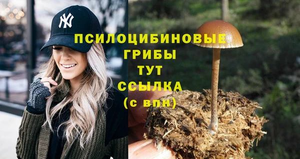 меф Алексеевка
