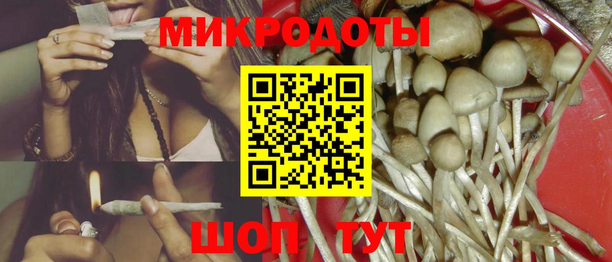 Псилоцибиновые грибы Cubensis Ижевск