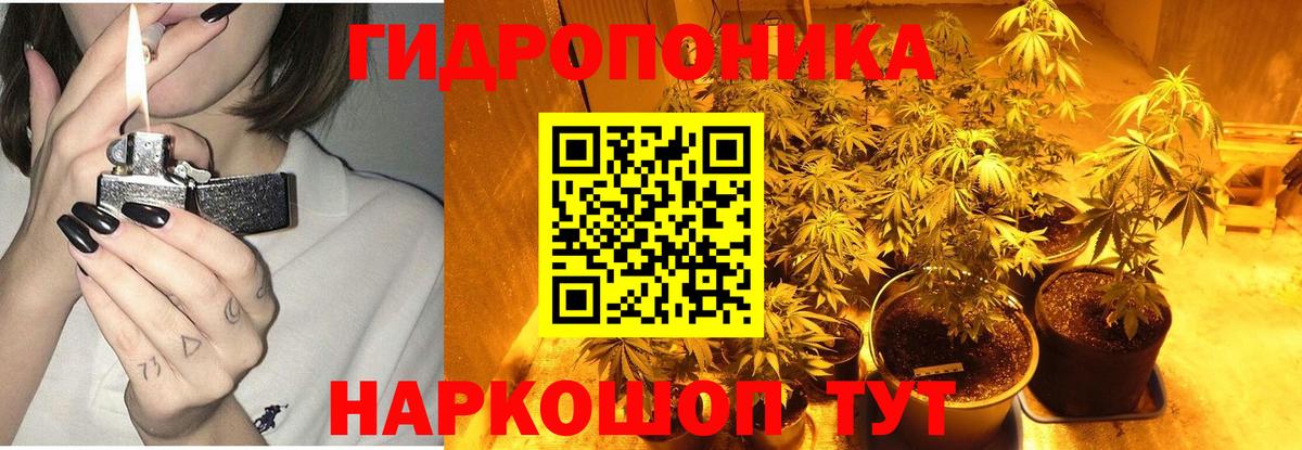 Ижевск  Бошки марихуана гибрид  Вход с VPN  Бошки марихуана план 